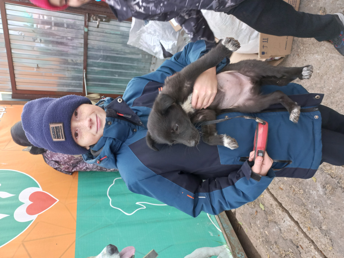 Постер к социальной практике: Наше "Первое дело"