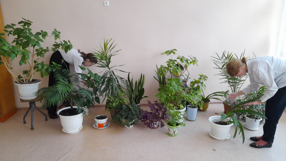 Постер к социальной практике: Наш красивый школьный дом