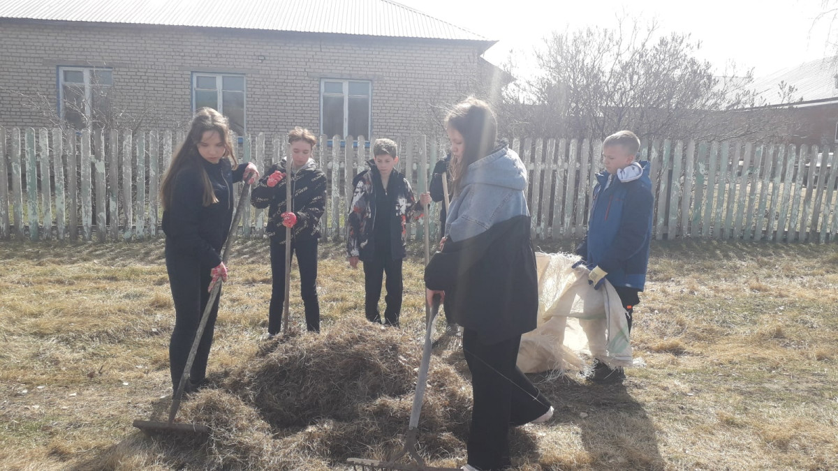 Постер к социальной практике: Чистое село