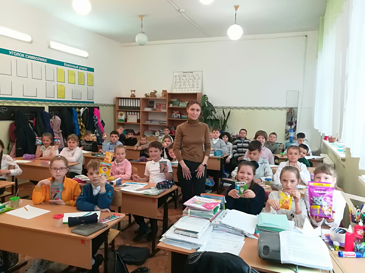 Постер к социальной практике: Какие мелочи спасают бездомные жизни