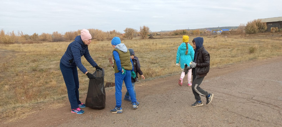 Постер к социальной практике: Чистое село