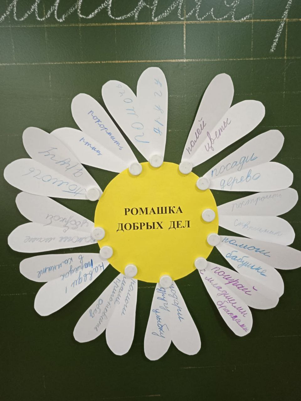 Постер к социальной практике: Ромашка добрых дел