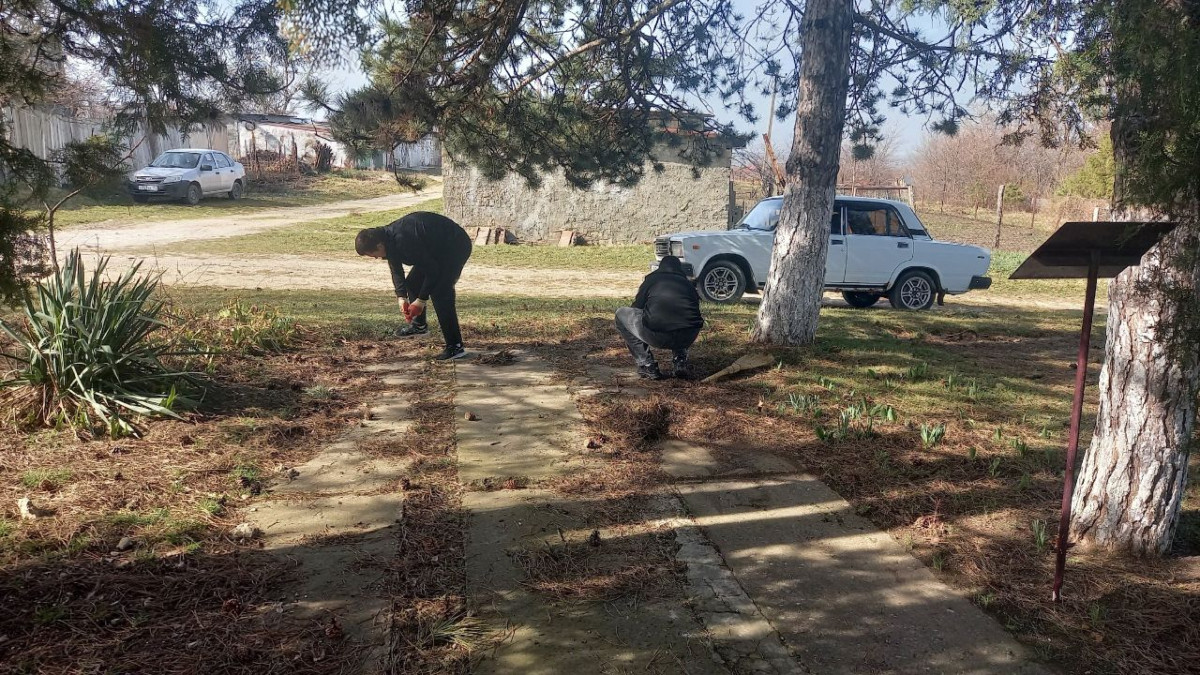 Постер к социальной практике: Целомудрие - сознательность.