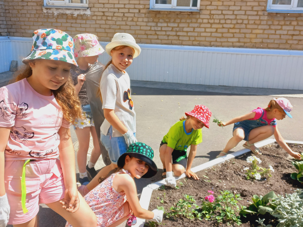 Постер к социальной практике: День добрых дел. Помощь природе.