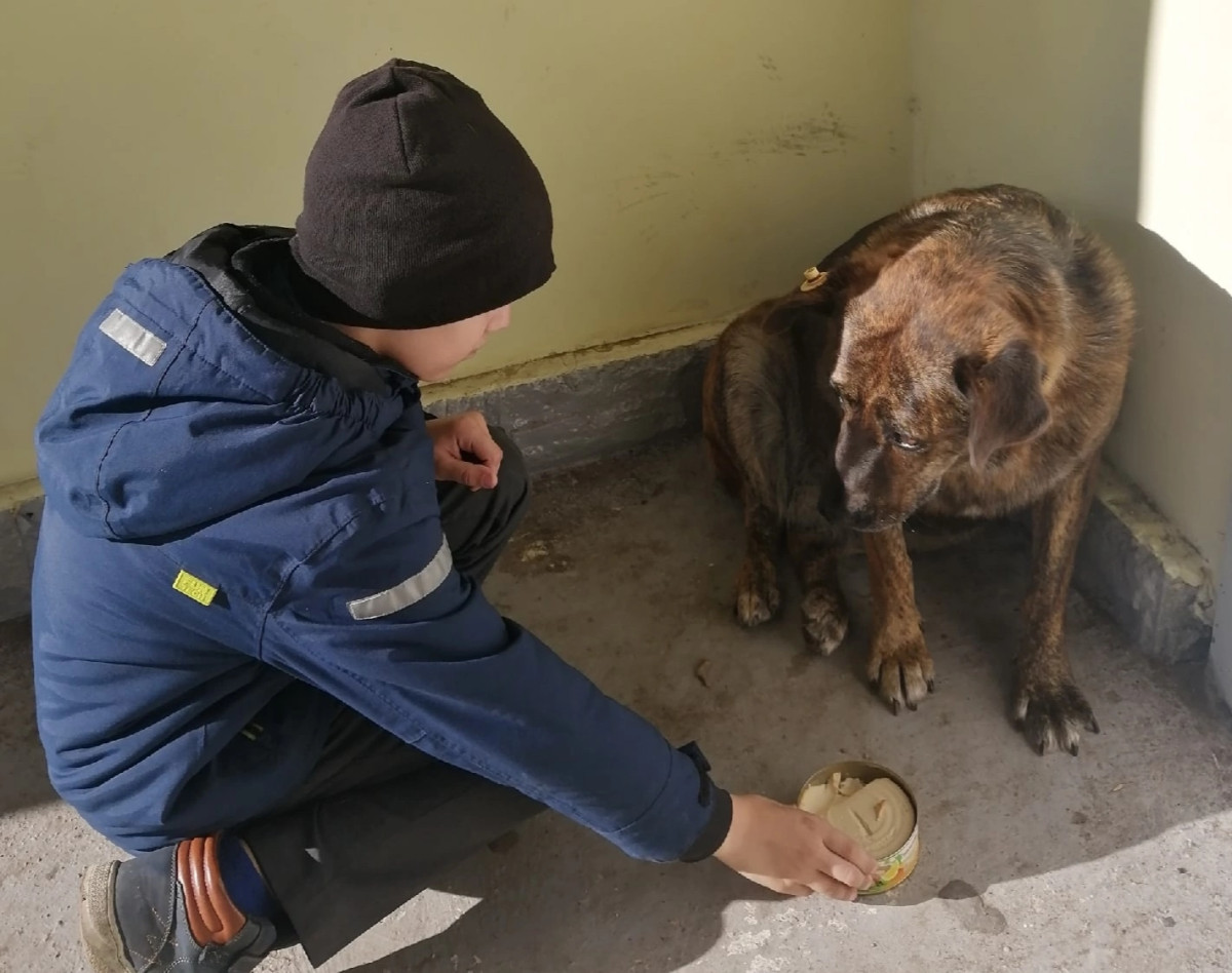Постер к социальной практике: Худо тому, кто добра не делает никому.