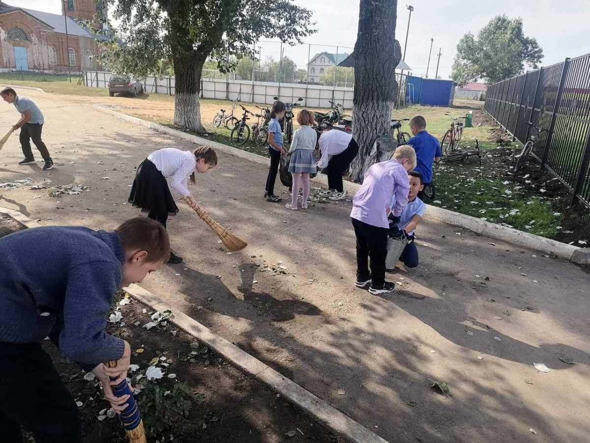 Постер к социальной практике: "Школьный двор - наша забота!"