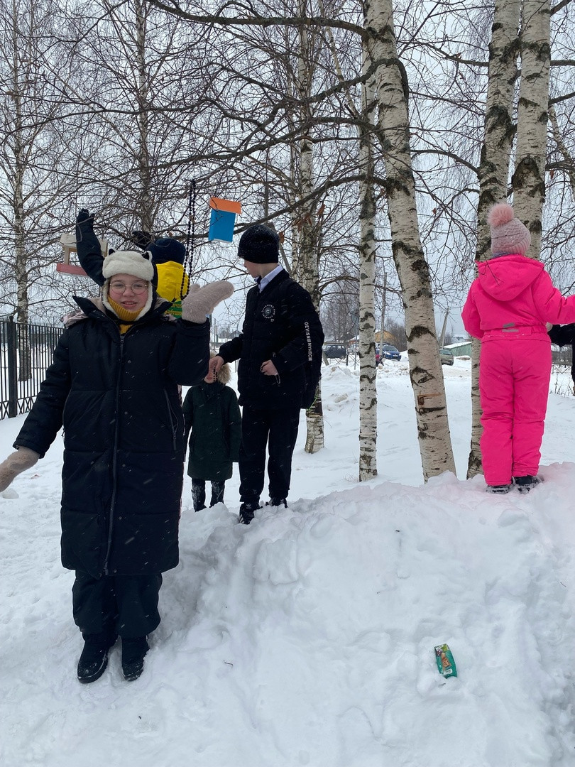 Постер к социальной практике: Покормим птиц зимой