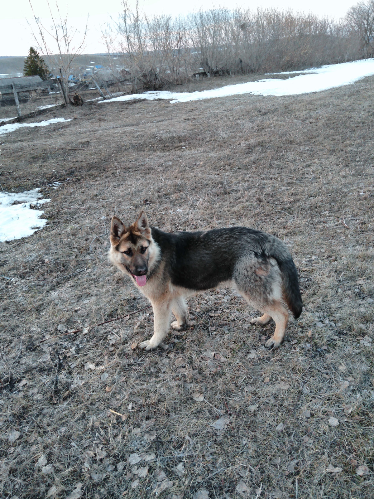 Постер к социальной практике: "МОСТ"