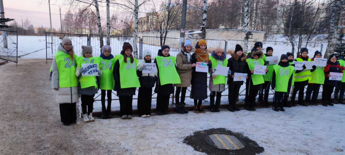 Постер к социальной практике: Покормите птиц зимой.