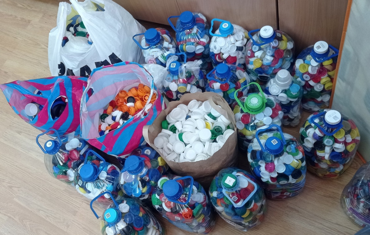 Постер к социальной практике: «Люби лес, люби природу, будешь вечно мил народу»