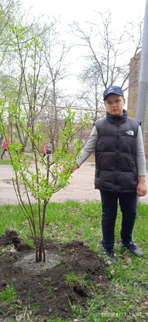 Постер к социальной практике: Друзья природы
