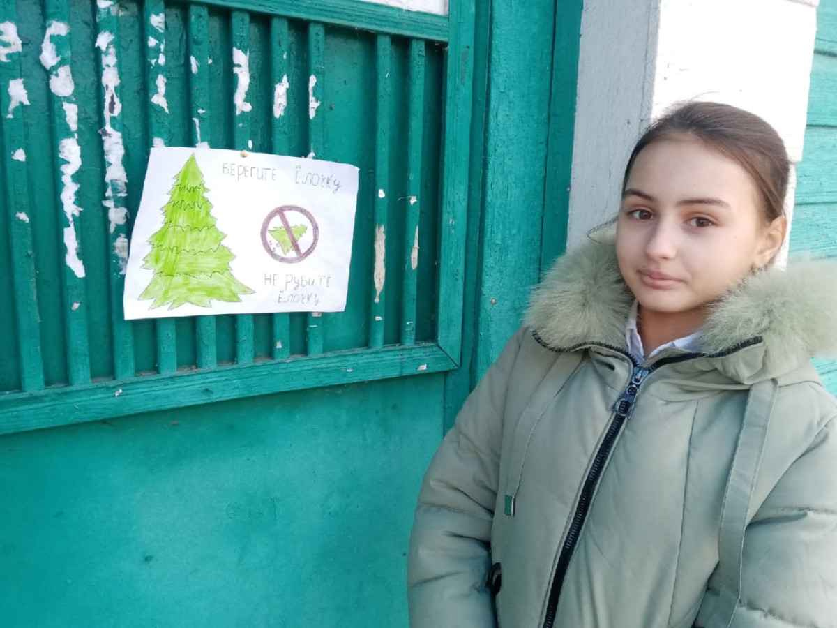 Постер к социальной практике: Операция "Живи, елочка!"