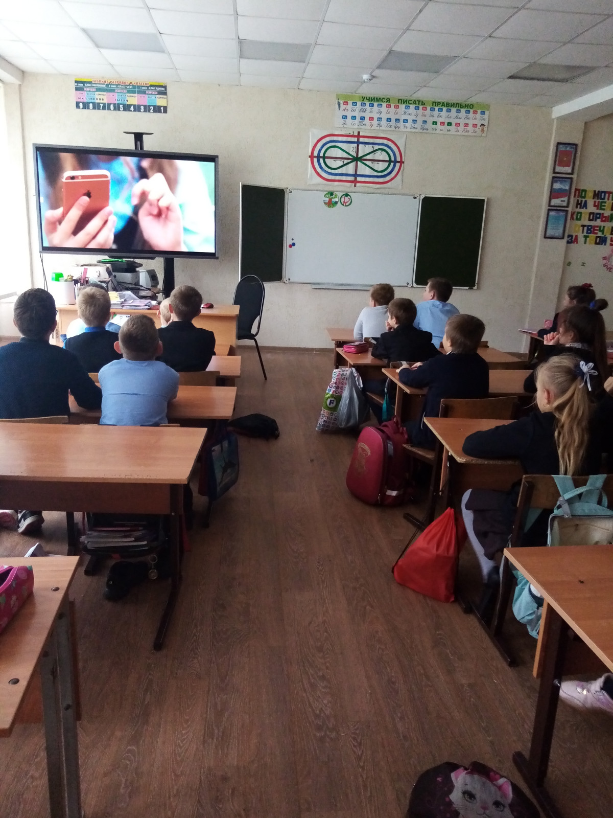Постер к социальной практике: Поможем братьям нашим меньшим.