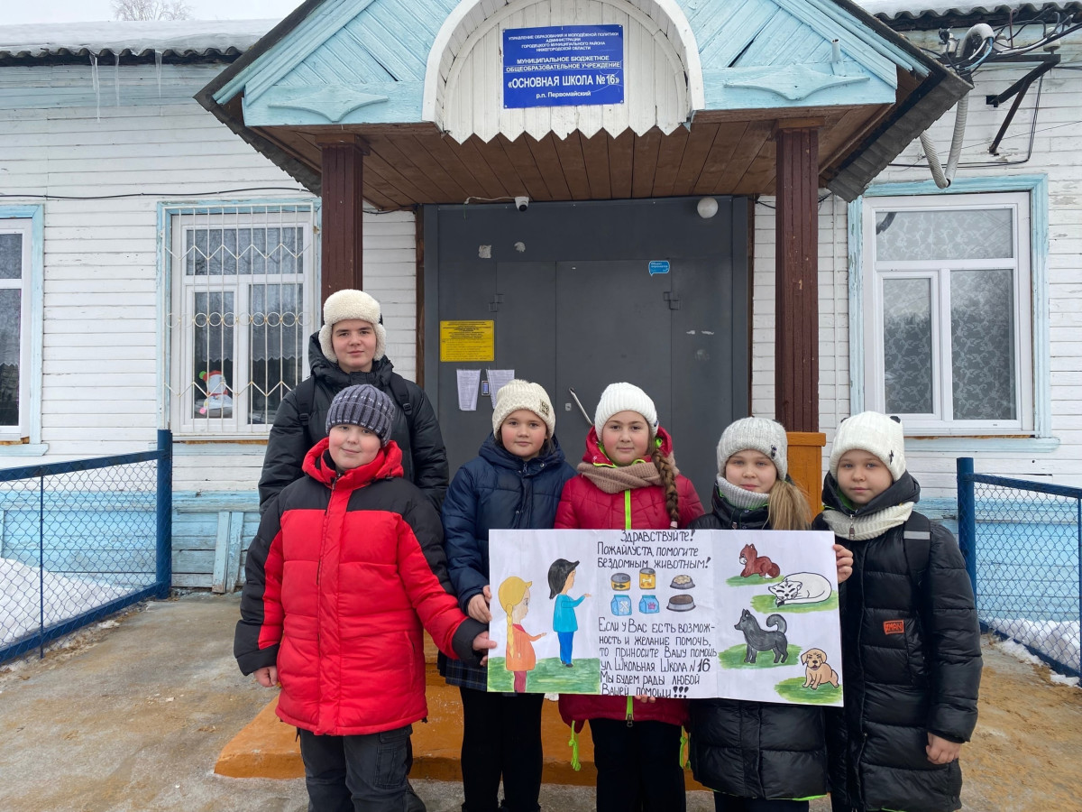 Постер к социальной практике: Акция: «Накорми бездомных животных».