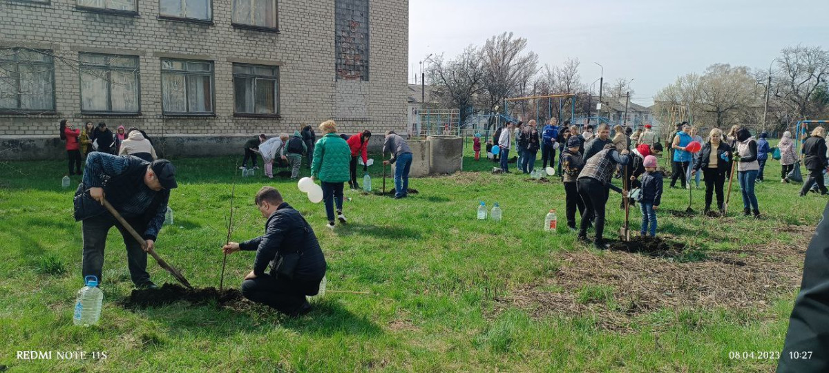 Постер к социальной практике: Сад Памяти, шуми ветвями!