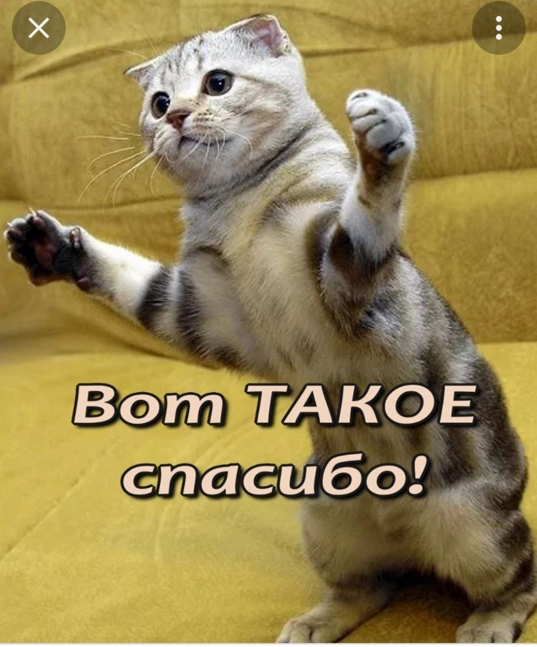 Постер к социальной практике: Общее дело