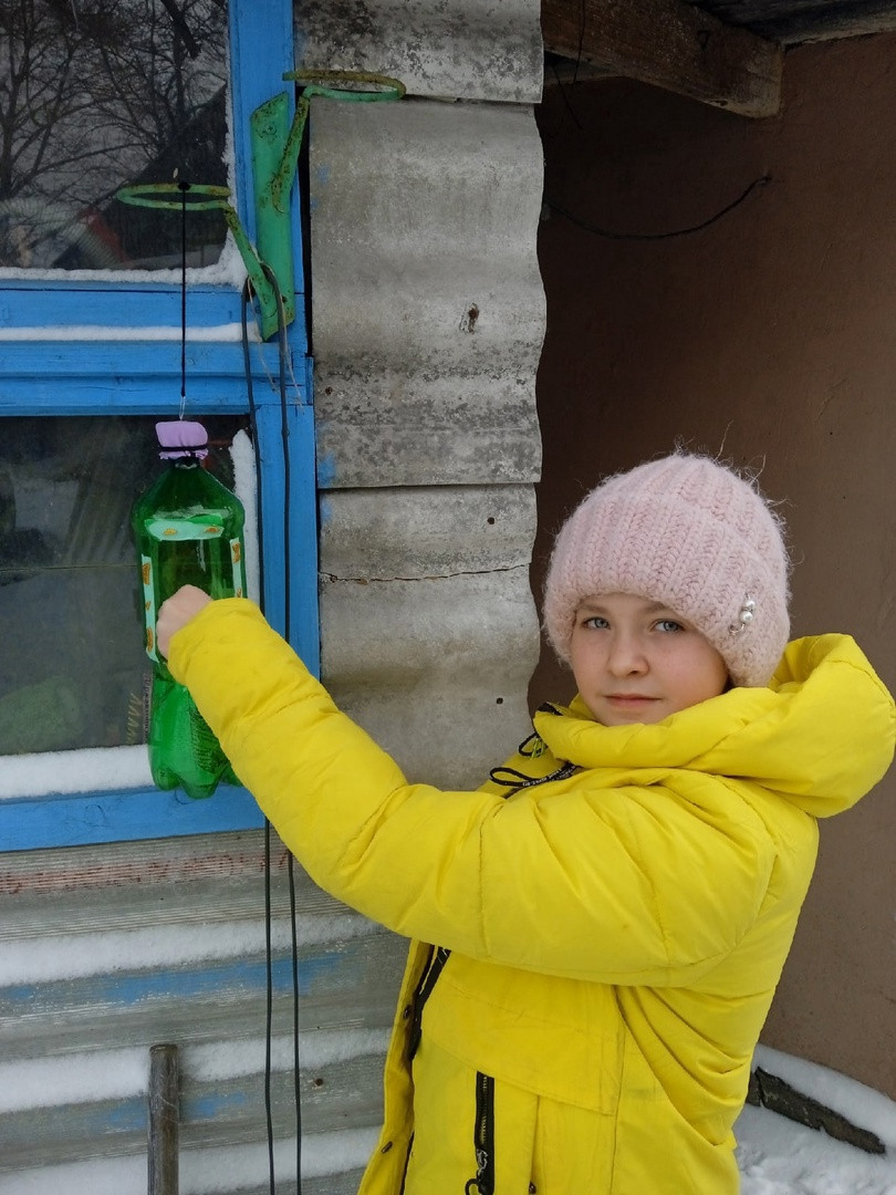 Постер к социальной практике: Трудно птицам зимовать, надо птицам помогать!