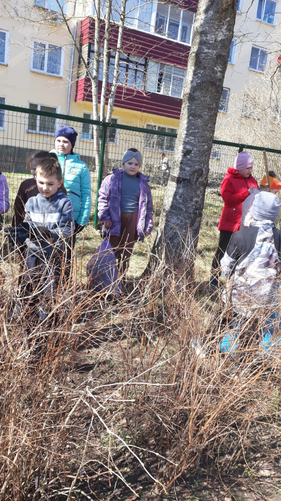 Постер к социальной практике: Благородство