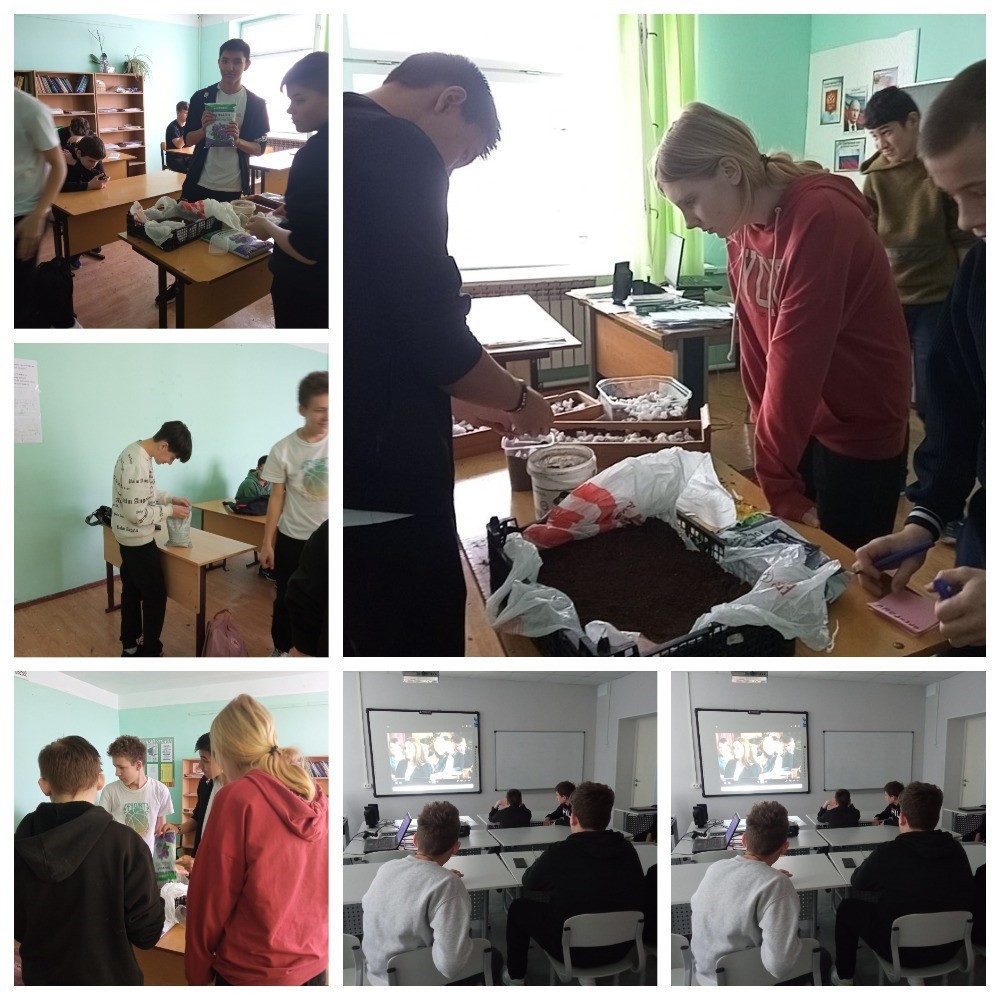 Постер к социальной практике: Кто если не мы?