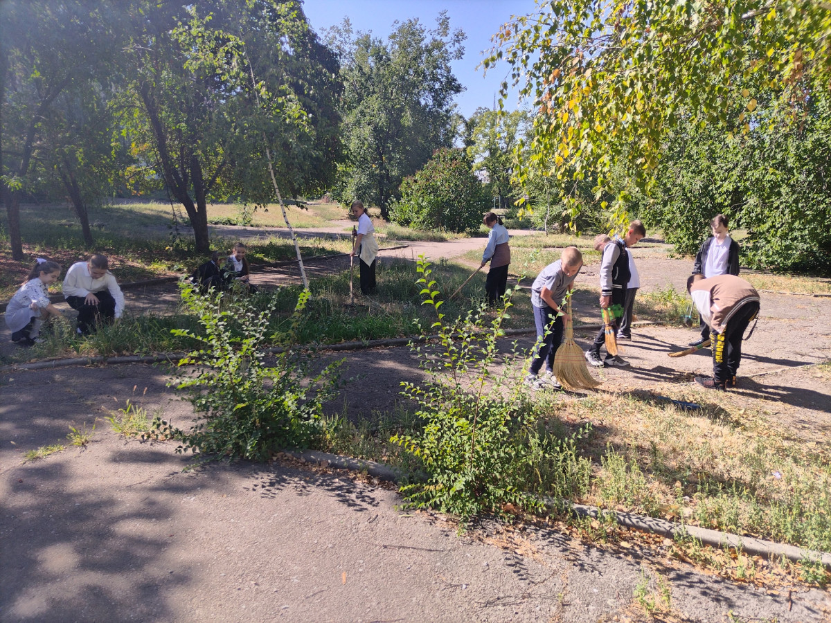 Постер к социальной практике: Маленький вклад в общее дело