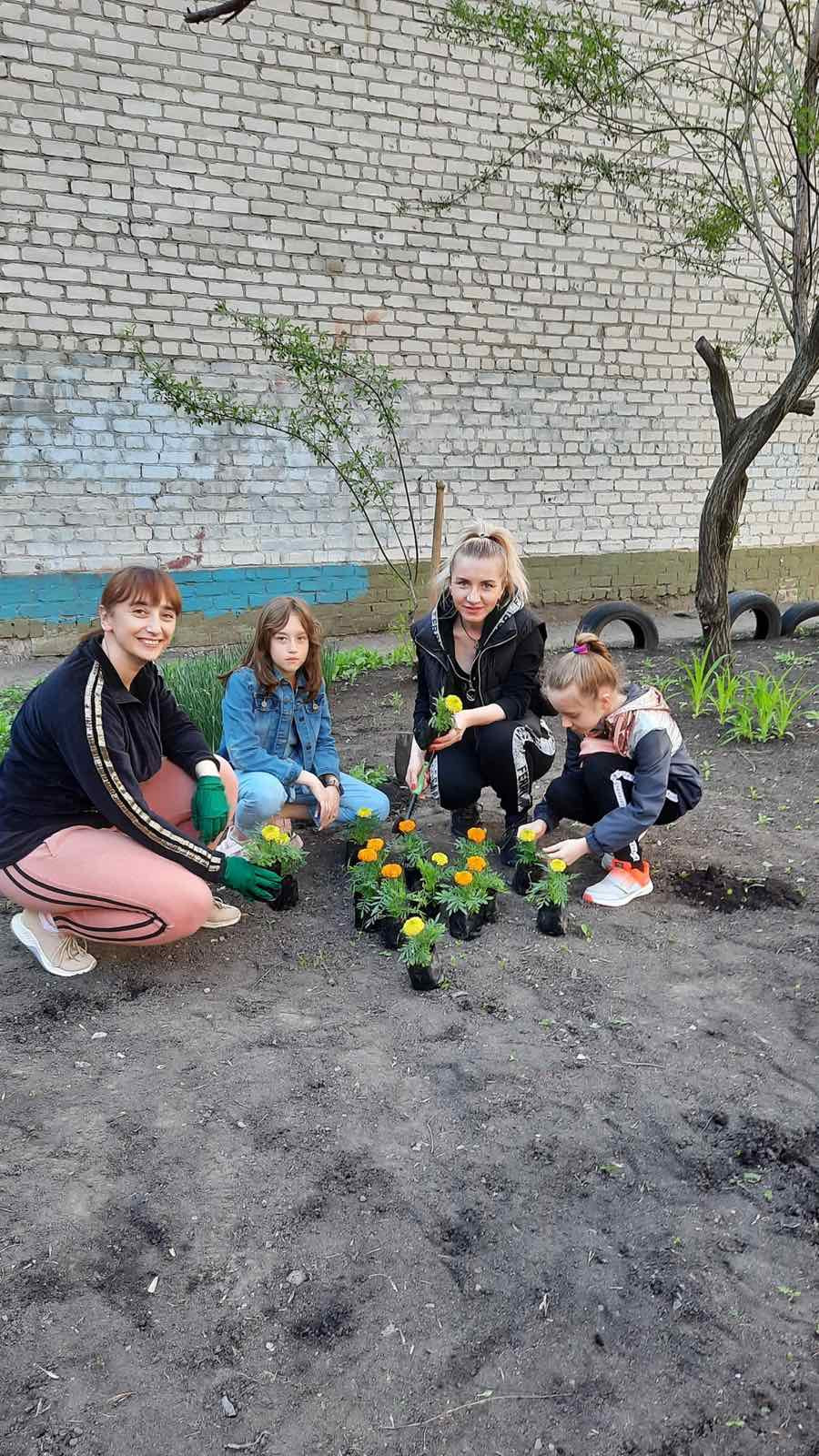 Постер к социальной практике: Благоустройство территории школы