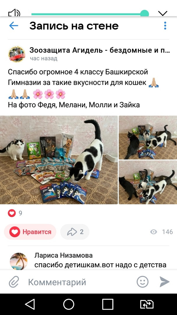 Постер к социальной практике: Городские акции: "Протяни руку-лапе",  "Белая ленточка"