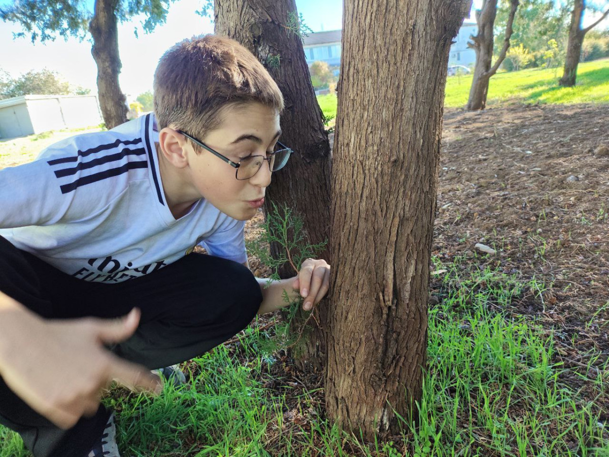 Постер к социальной практике: Упорство и труд всё перетрут