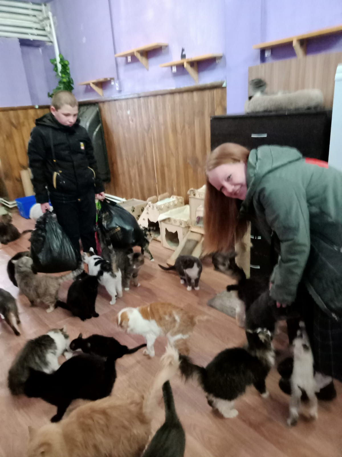 Постер к социальной практике: Помощь приюту "Клеопатра"