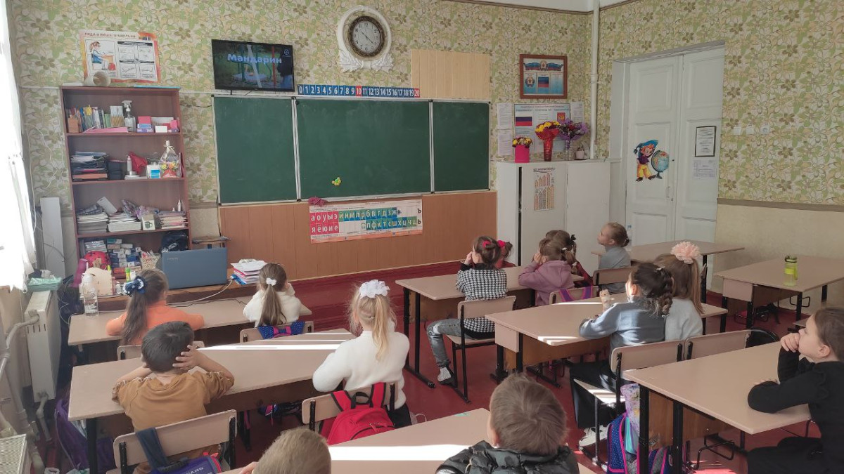 Постер к социальной практике: Социальная практика "Пополнение библиотечного фонда школы"
