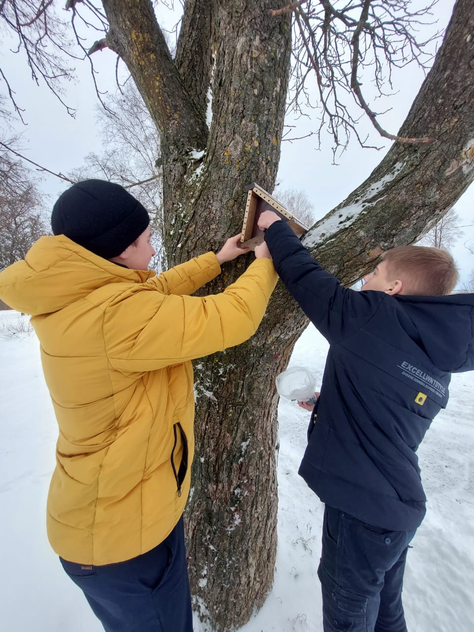 Постер к социальной практике: Не забудь покормить птиц зимой