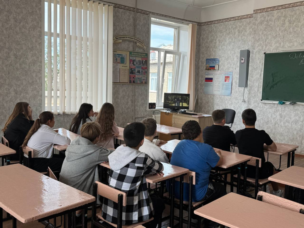 Фотография социальной практики №92112 - Помощь бездомным животным