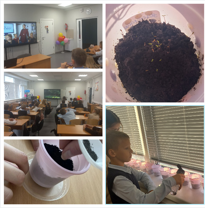 Фотография социальной практики №91794 - Цветок для мамы