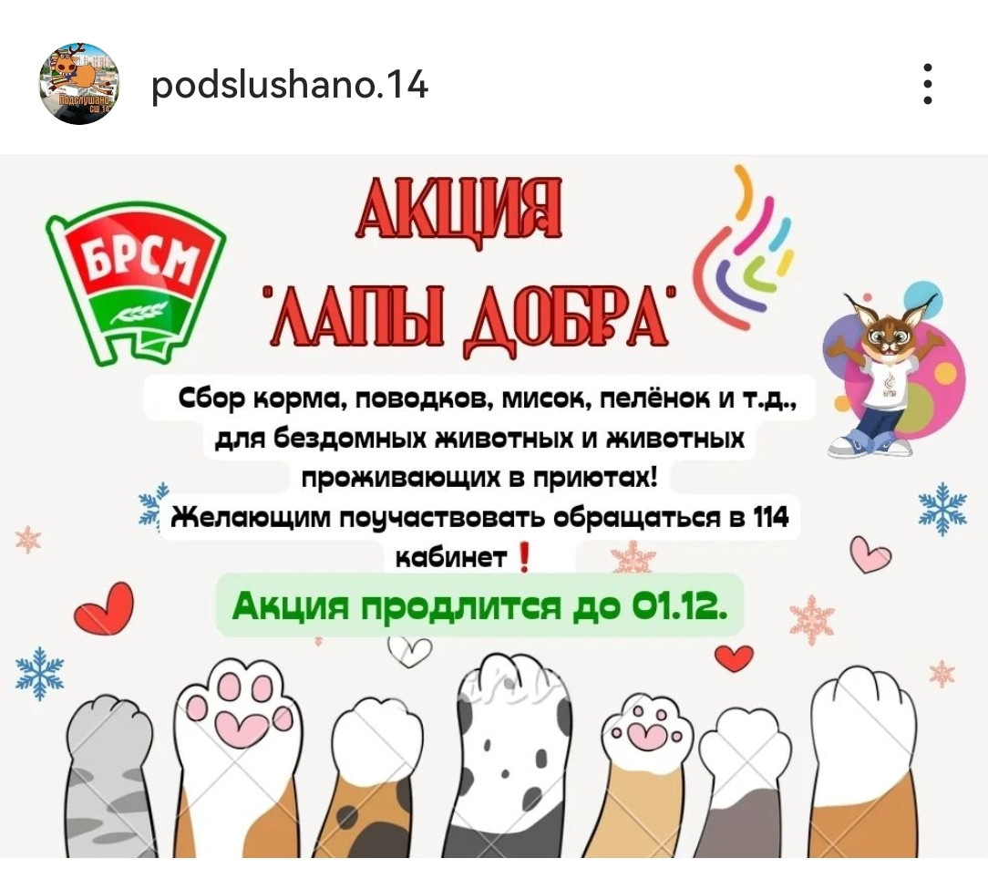 Постер к социальной практике: Акция "Лапы добра"
