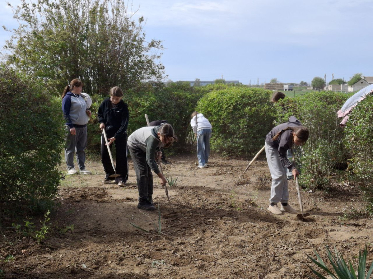 Постер к социальной практике: Это отличная инициатива!