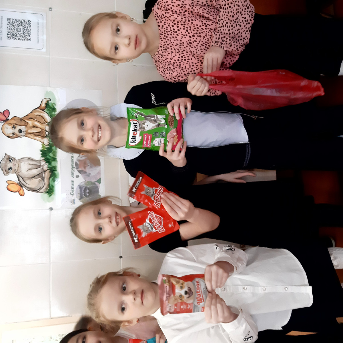 Постер к социальной практике: Поможем братьям нашим меньшим