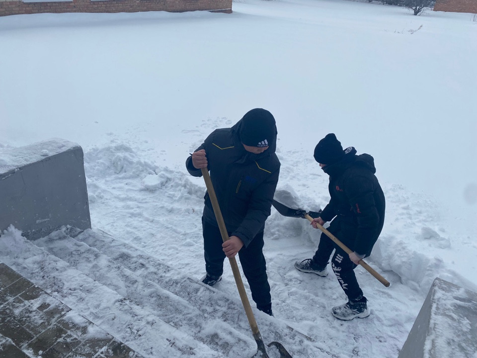 Постер к социальной практике: Редкий вид.Отчет