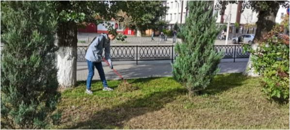 Постер к социальной практике: Субботник "Зеленая суббота"