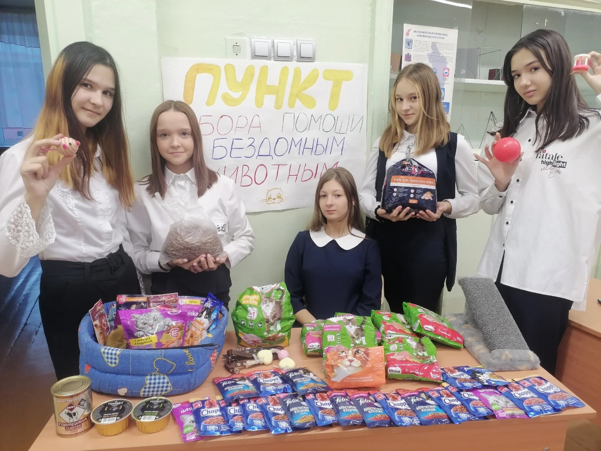 Постер к социальной практике: Помощь бездомным животным