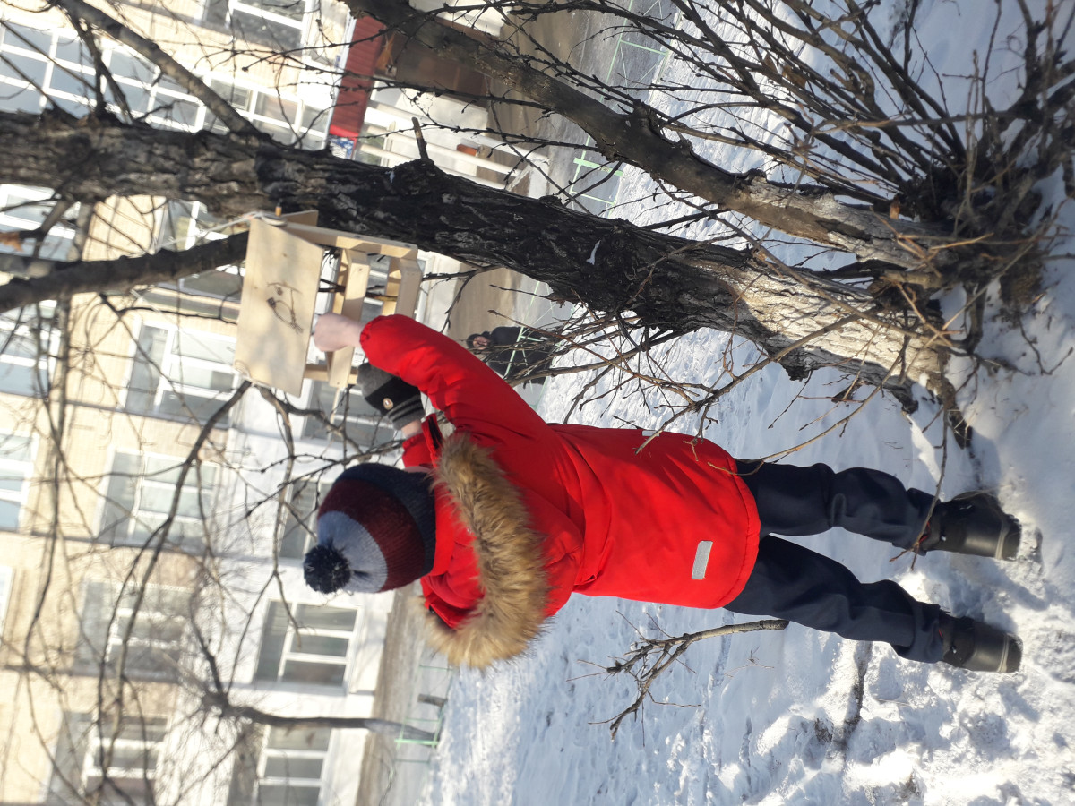 Постер к социальной практике: Забота о пернатых.