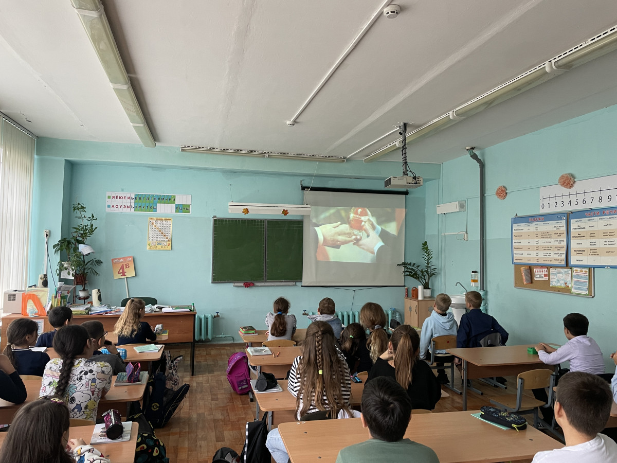 Постер к социальной практике: В помощь животным