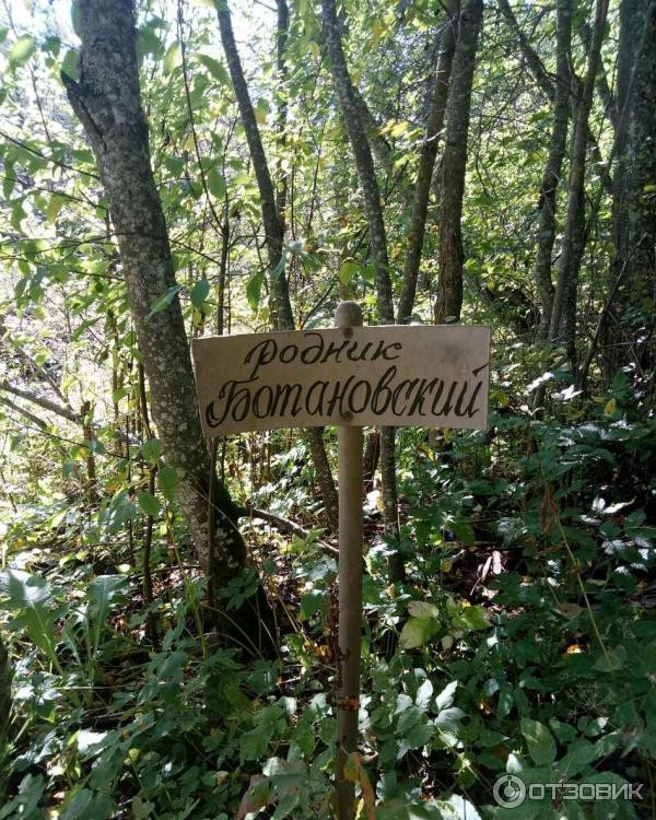 Постер к социальной практике: История и возрождение Ботановского парка