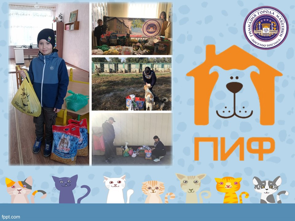 Постер к социальной практике: Братья наши меньшие