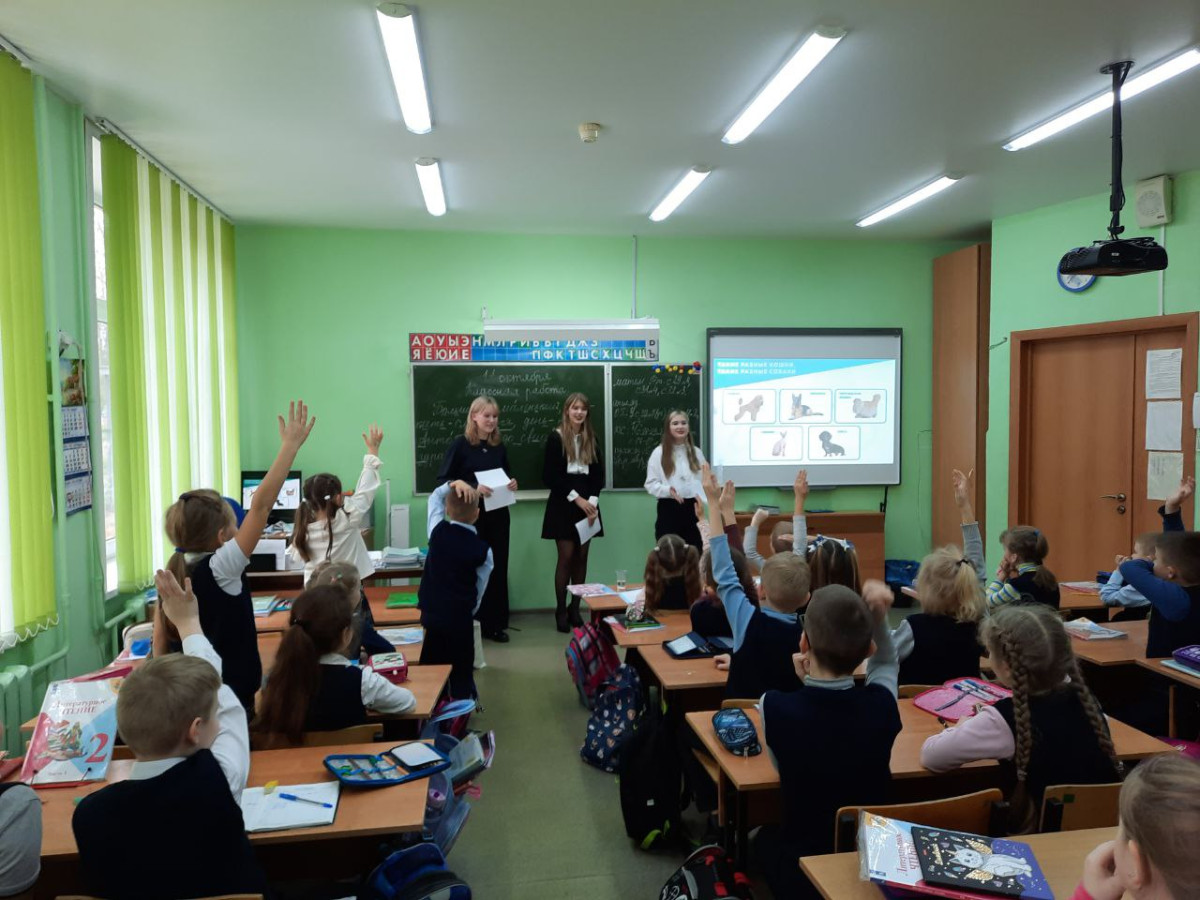 Постер к социальной практике: МБОУ ЦО № 9 г. Тула, Фадеева Н.В.отчет по социальной праткике
