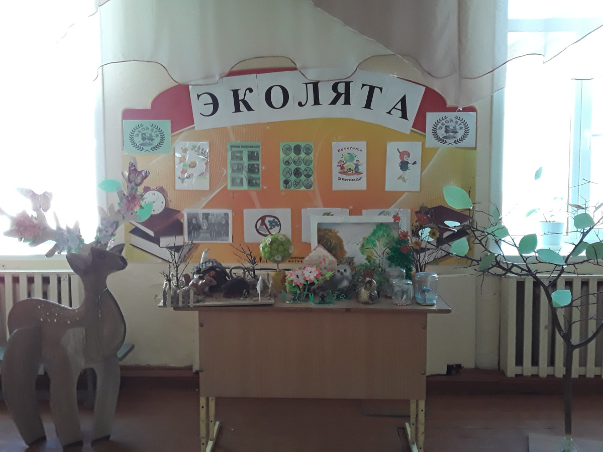 Постер к социальной практике: Эколята!