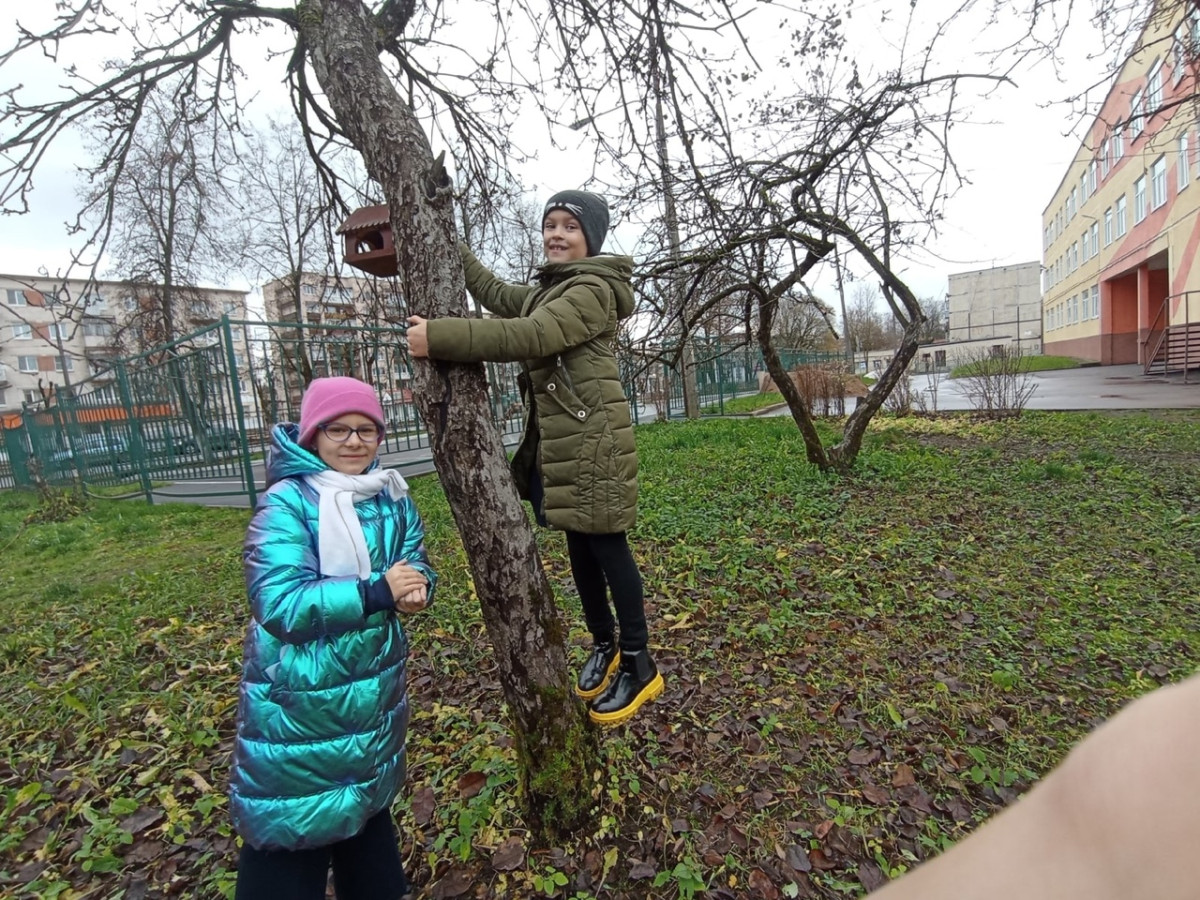 Киноуроки | Практики