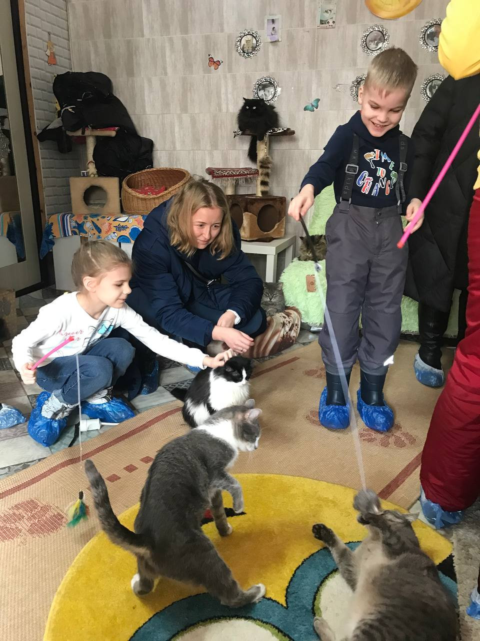Постер к социальной практике: Мы в ответе за тех, кого приручили. Посещение приюта для животных.