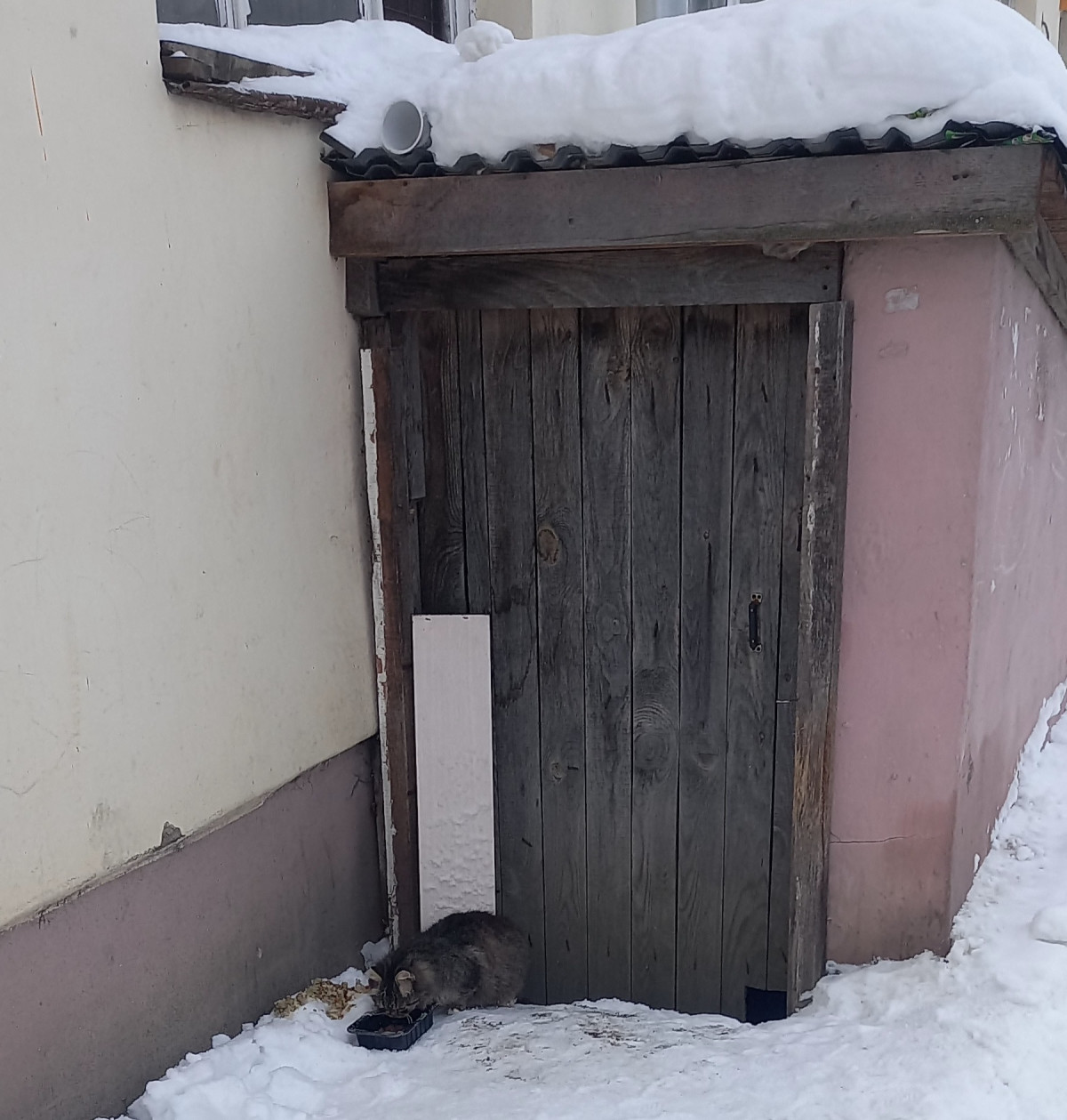 Постер к социальной практике: Рядом с нами