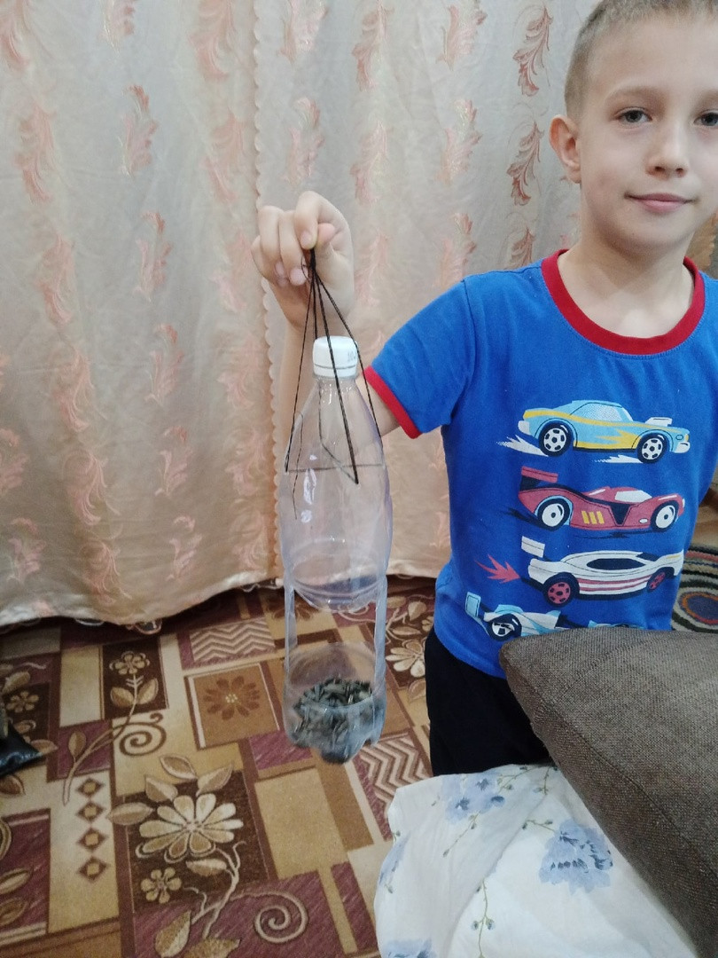 Постер к социальной практике: Покормите птиц зимой