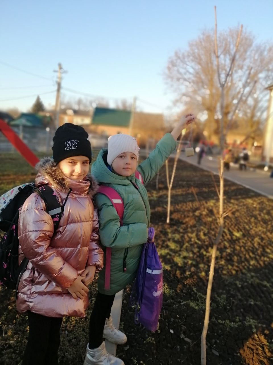 Постер к социальной практике: Экологическая Акция "Помощь пернатым"