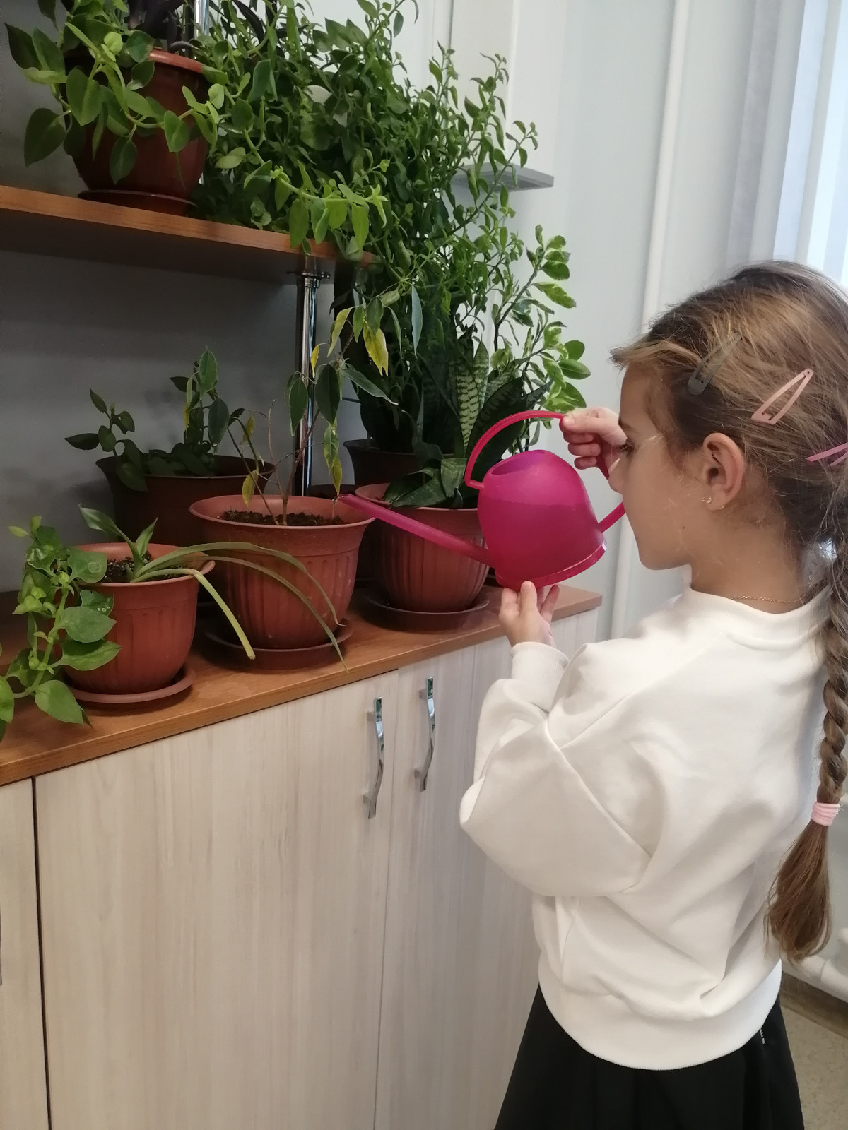 Постер к социальной практике: Друг в беде не бросит